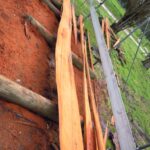 Leaning Log Part 1 Slabs