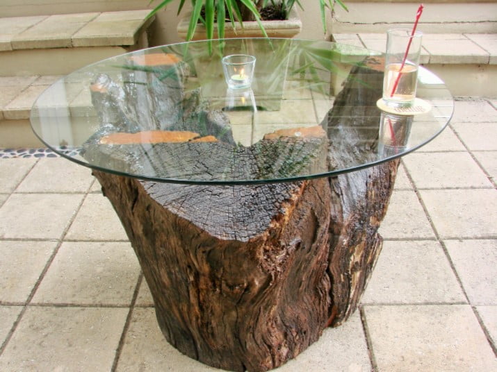 Glass Top Stump Table